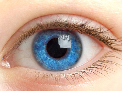 ������� �������� �����