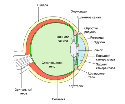 ���������� �������� �����